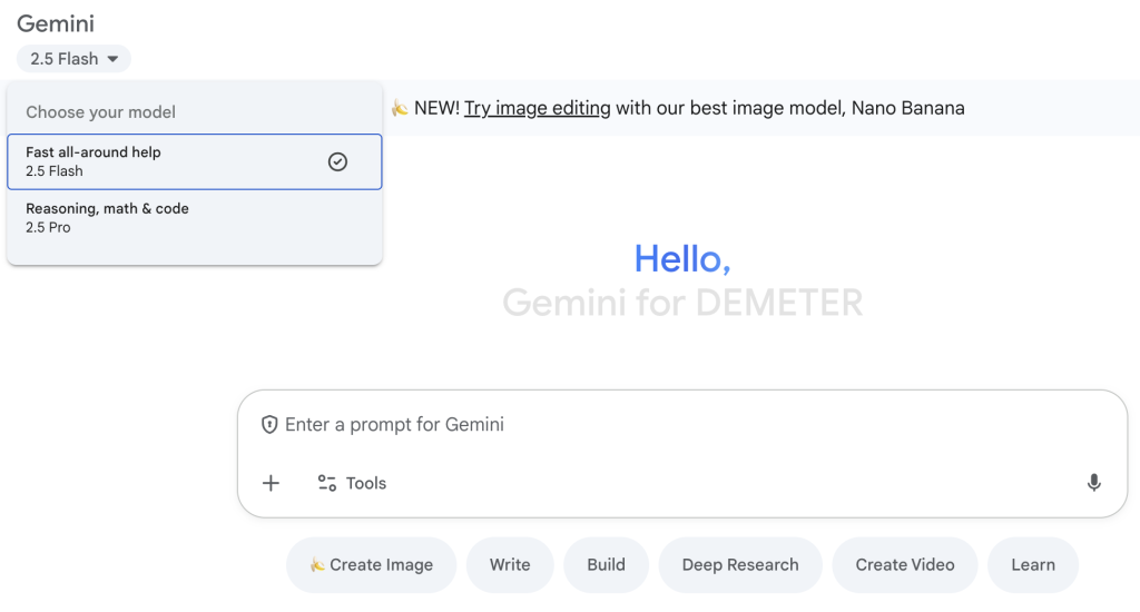 Gemini model and tools