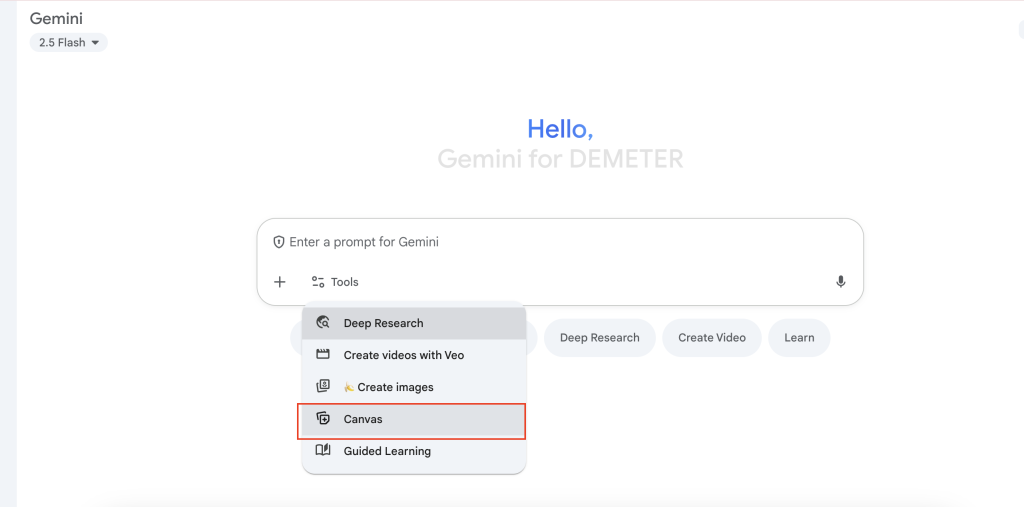 Convert text to Infographic in Gemini